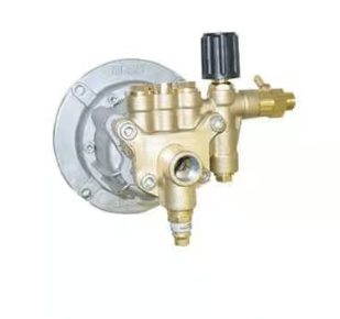 Giant Pumps Direct Drive Only Triplex Plunger Pump - 2500 PSI, 2.5 GPM, 3450 RPM Part Number GXH2525-112H