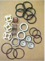 Giant Pumps Valve Kit For P46W Part Number 09039