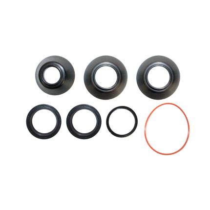 INPUT SHAFT SEAL KIT
