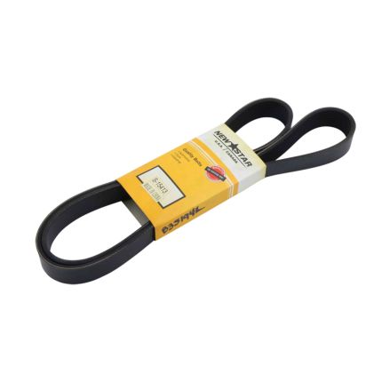 BELT 8 RIB