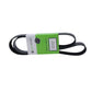 BELT 8 RIB