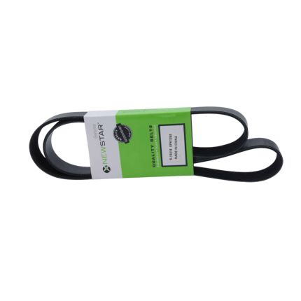 BELT 8 RIB