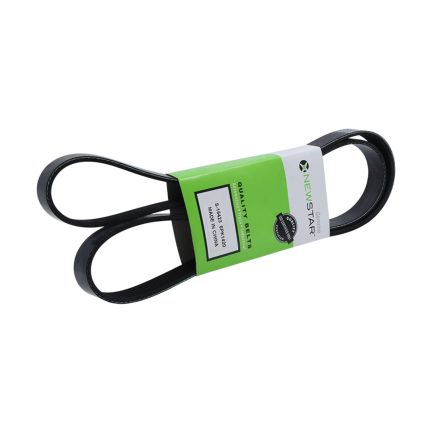 BELT 6 RIB