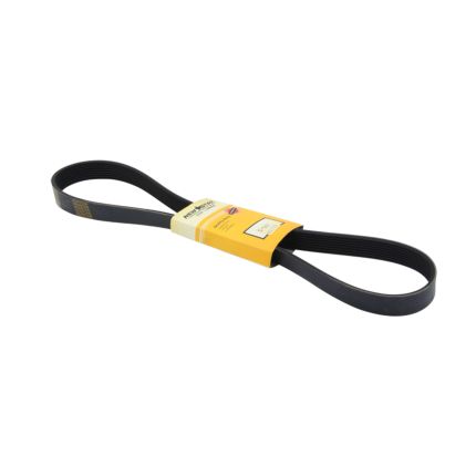 BELT 8 RIB