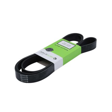 BELT 8 RIB