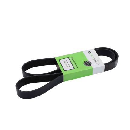 BELT 8 RIB