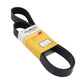 BELT 10 RIB