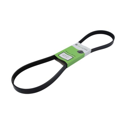 BELT 6 RIB