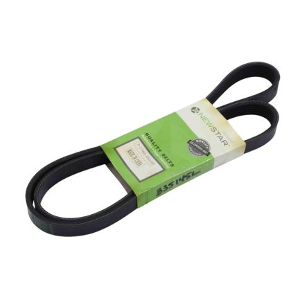 BELT 6 RIB