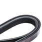 BELT 6 RIB