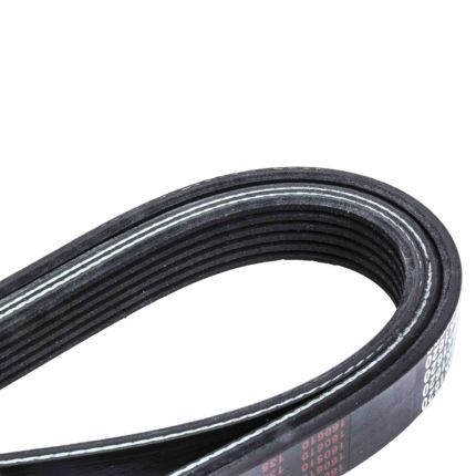 BELT 6 RIB