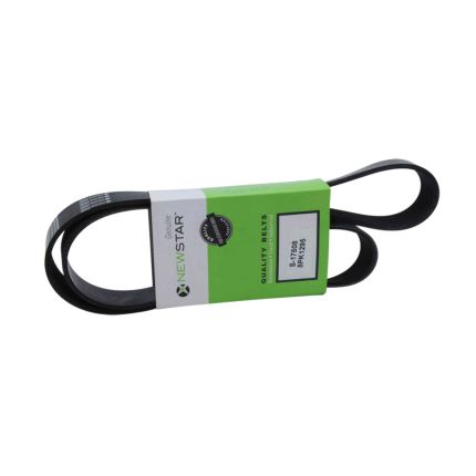 BELT 8 RIB