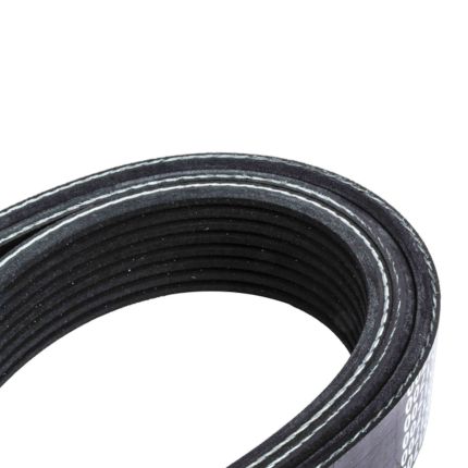 BELT 8 RIB