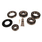 BEARING AND SEAL KIT