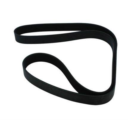 BELT 8 RIB