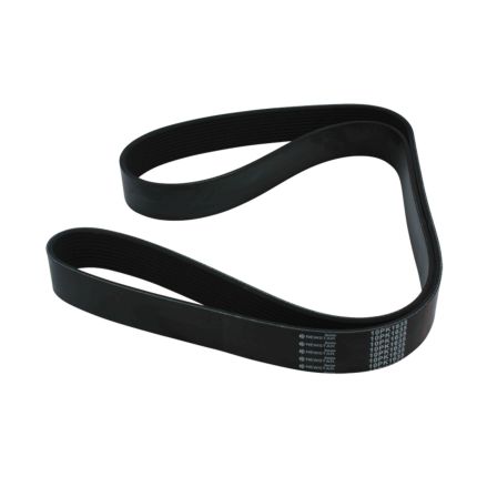 BELT 10 RIB