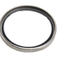 THERMOSTAT SEAL