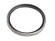 THERMOSTAT SEAL