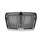 GRILLE W/BUG SCREEN-CHROME