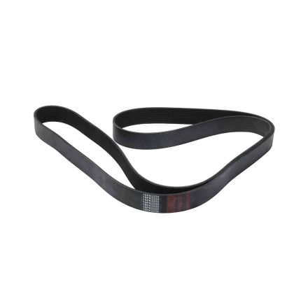 10 RIB BELT