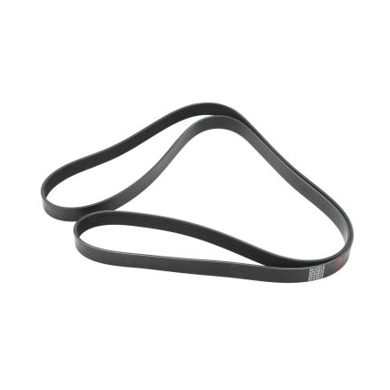8 RIB BELT