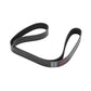10 RIB BELT