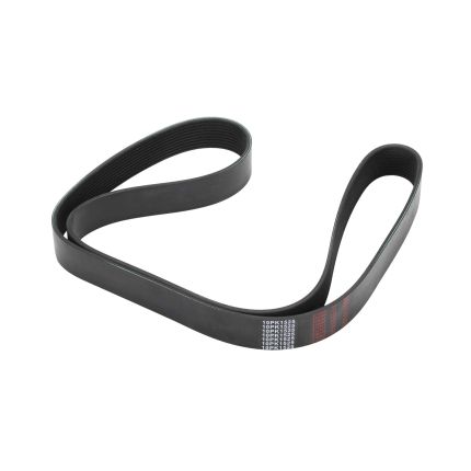 10 RIB BELT