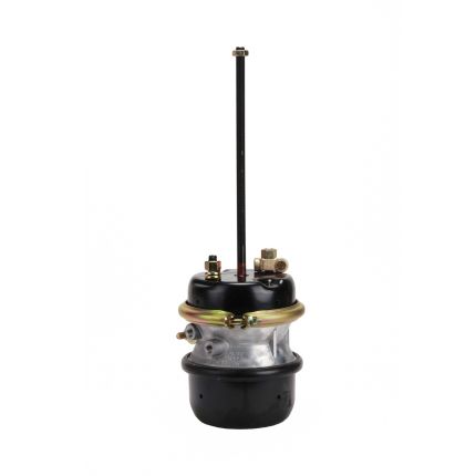 TYPE 30 SPRING BRAKE LS TDM