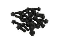 BOLT QTY PACK 25