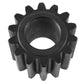 PINION