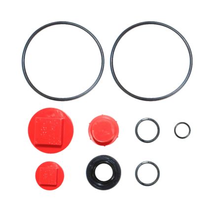 V10 SEAL KIT