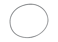 O-RING