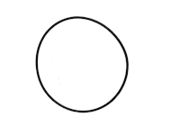 O-RING
