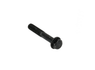 FLANGE SCREW
